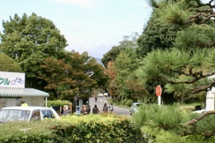 20071102西京区02