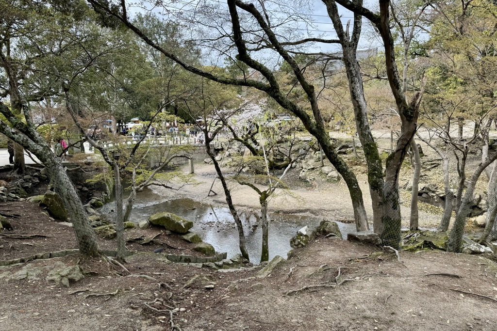 20240404奈良市06