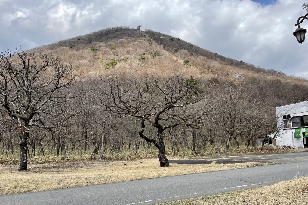 20230329高崎市01