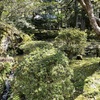 20210419小松市13