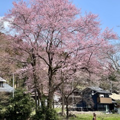 20230329吾妻町03