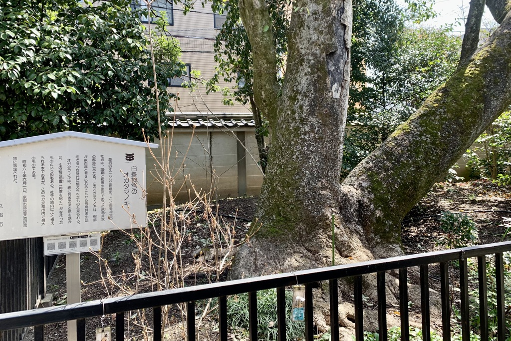 20200321上京区01