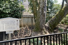 20200321上京区01