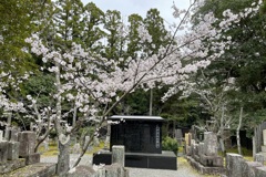 20230325左京区23