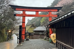 20240403右京区03