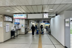 20240621若葉区02