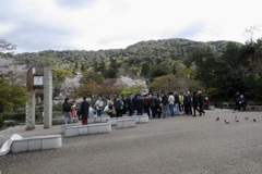 20190411東山区02