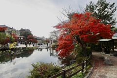 20181130東山区07