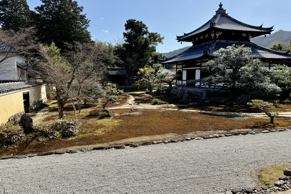 20240228右京区08