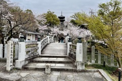 20230325左京区35