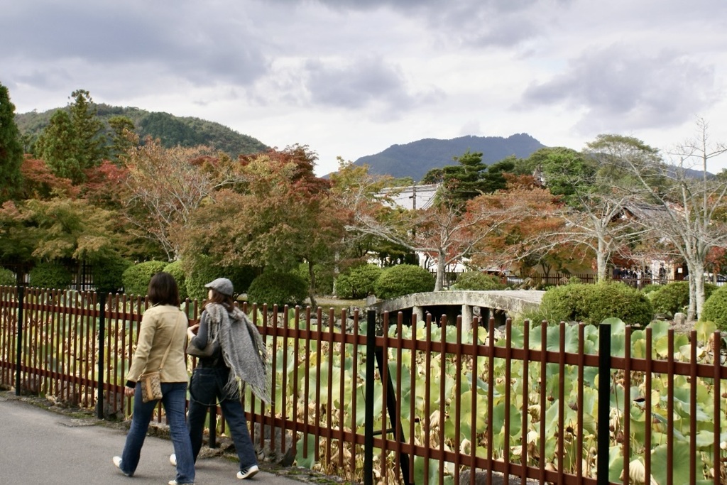 20071102右京区10