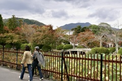 20071102右京区10