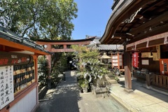 20240410左京区28