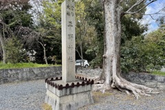 20250404京都市北区37
