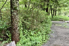 20190822松本市16