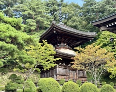 20240912遠野市11