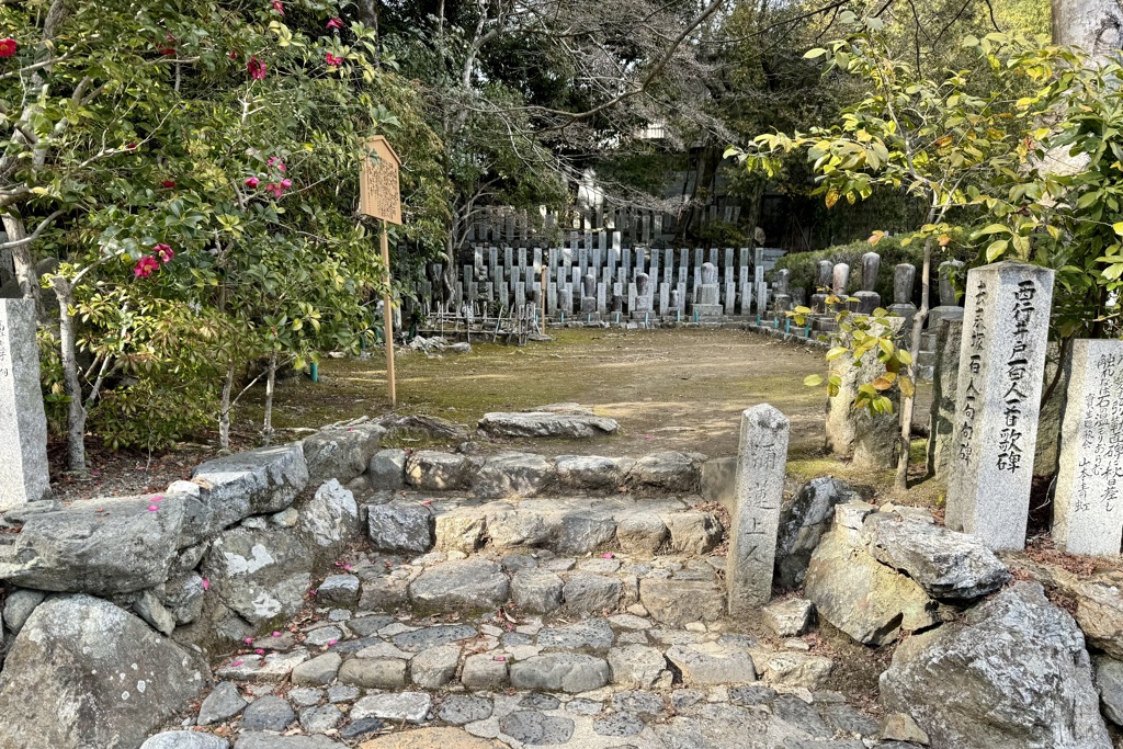 20240210右京区27