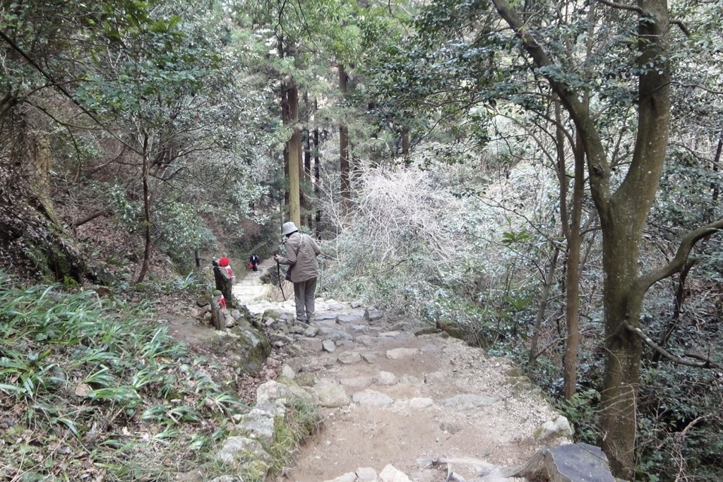 20110313和泉市21
