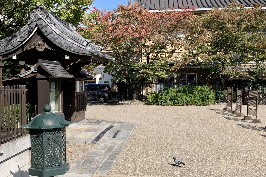 20191105下京区04