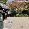20191105下京区04