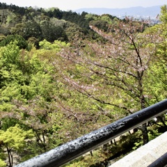 20190418東山区05