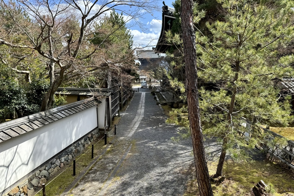 20240310右京区14
