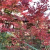 20201113成田市02