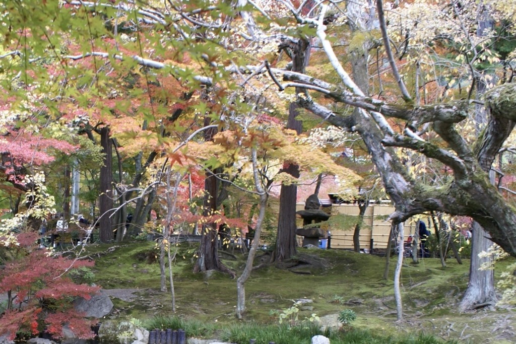 20071123左京区19