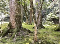 20210419小松市02
