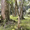 20210419小松市02