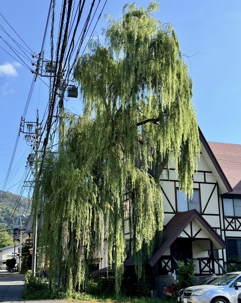 20240810白馬村87