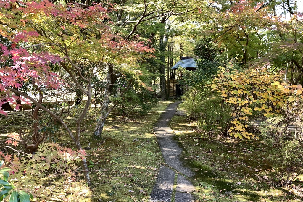 20201113成田市03