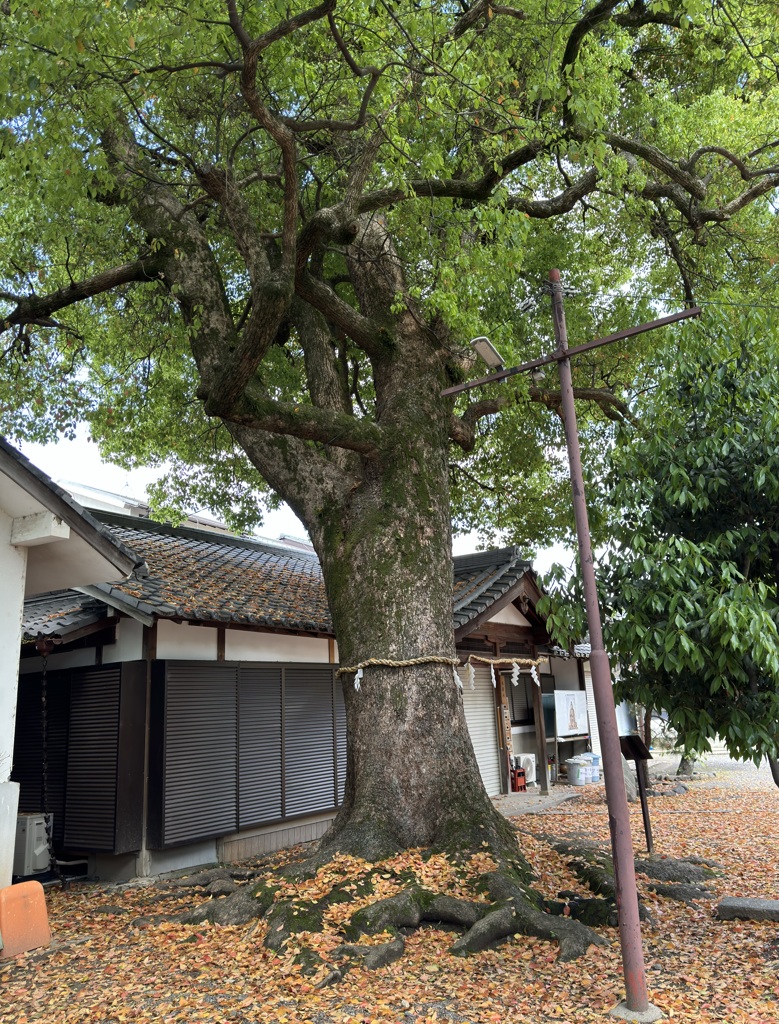 20240425西京区11