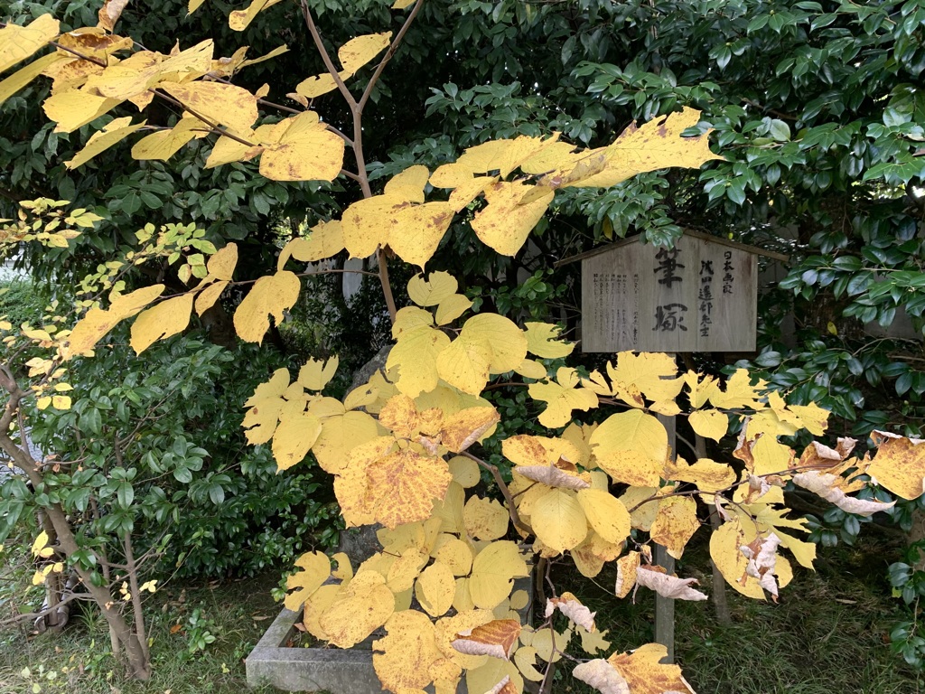 20191121上京区06