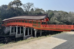 20250326宇佐市04