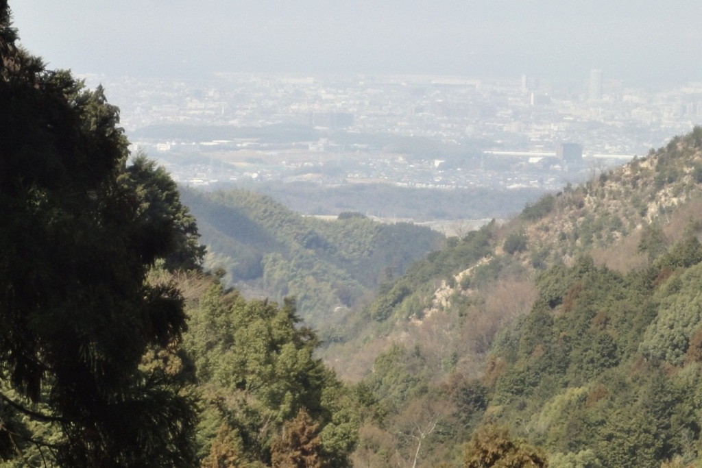 20110313和泉市06