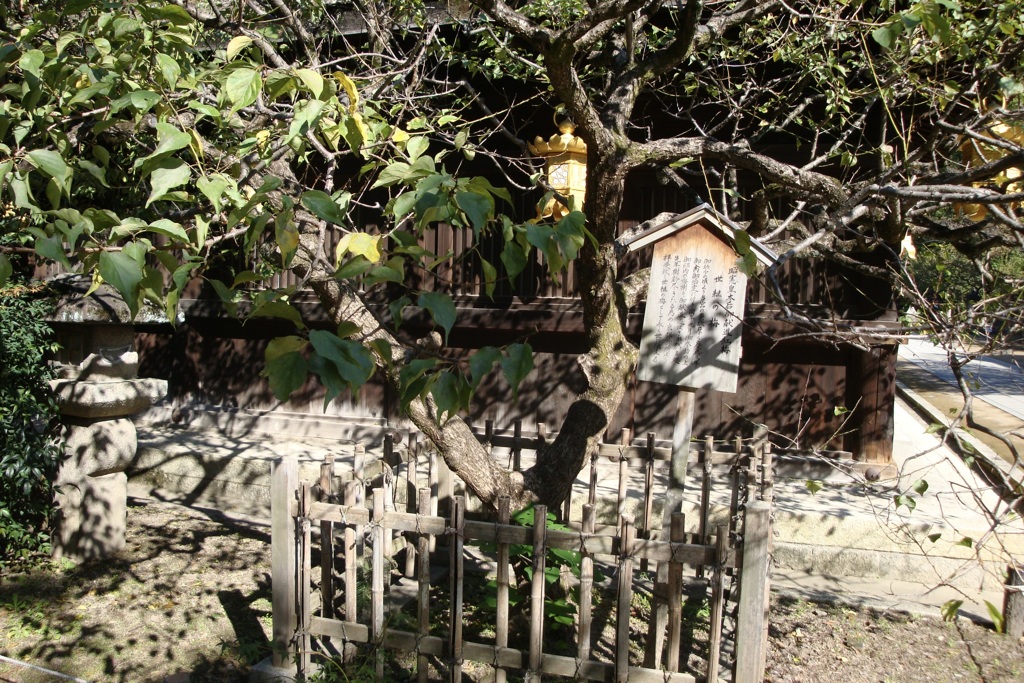 20091012上京区11
