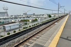 20240620千葉県芝山町03