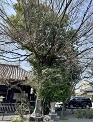 20240330上京区13
