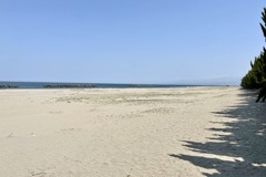 20210420富山市02