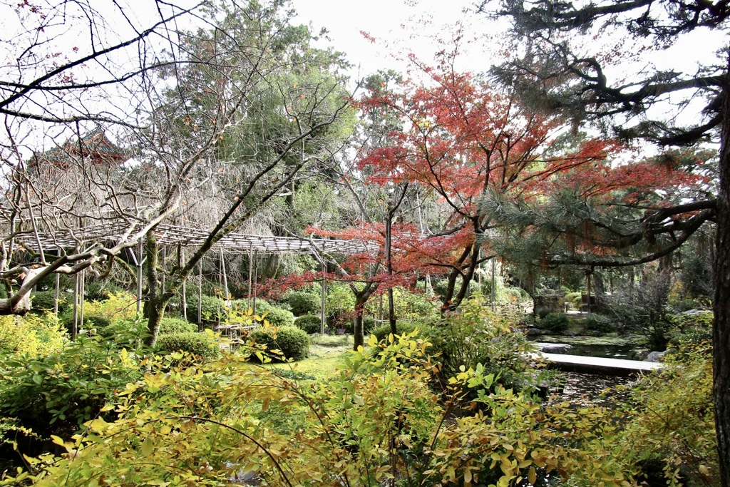 20181124左京区09