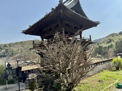 20250325宇佐市01
