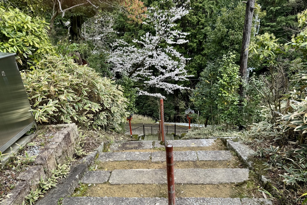 20240404木津川市18