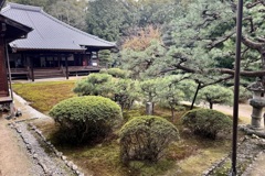 20240402山科区16