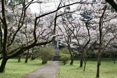 20070328朝倉市20