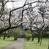 20070328朝倉市20