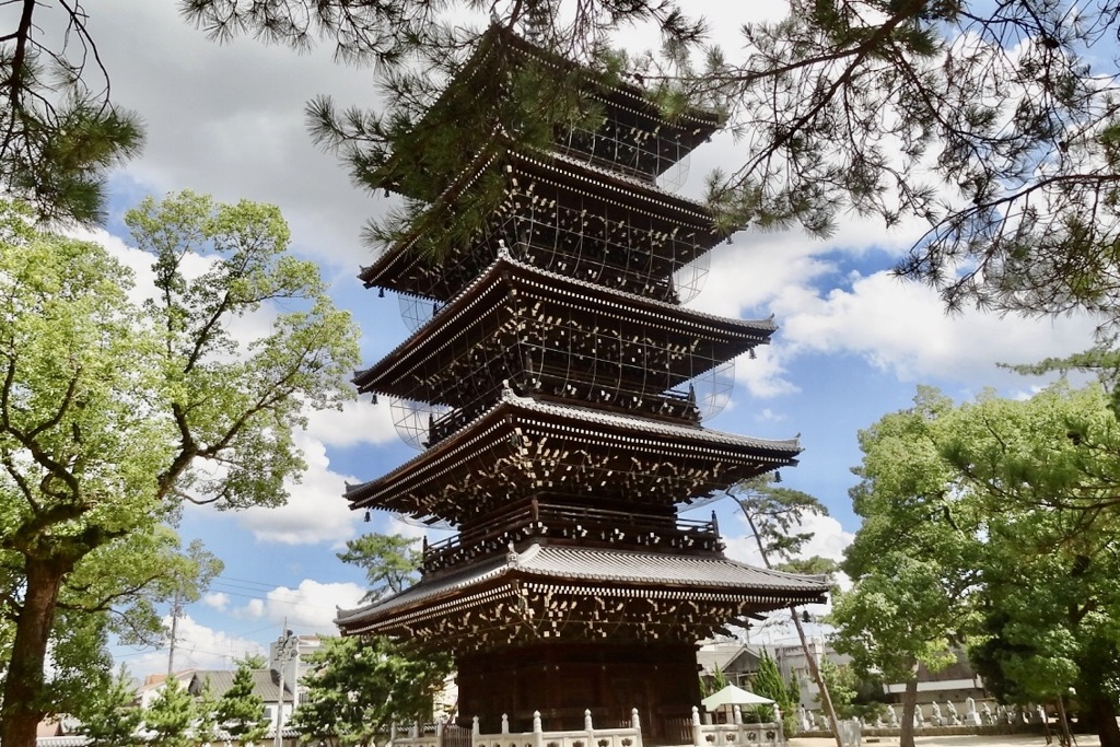 20110911善通寺市04