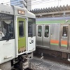 20221106日高市01