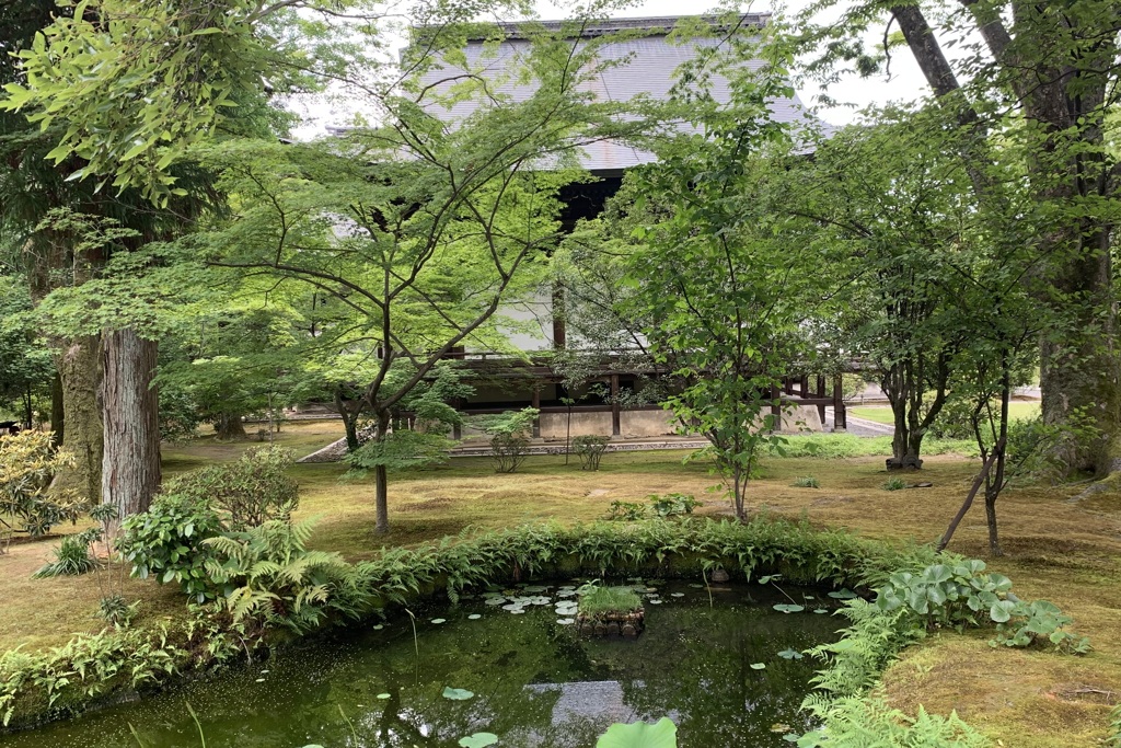 20190609右京区03