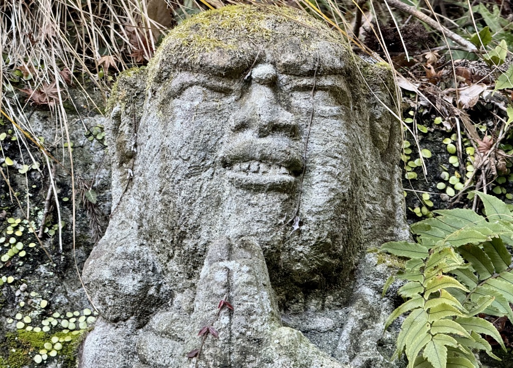 20240104右京区34
